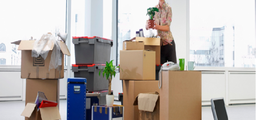 Benefits of Hiring Professional Moving Company than Cheap Moves