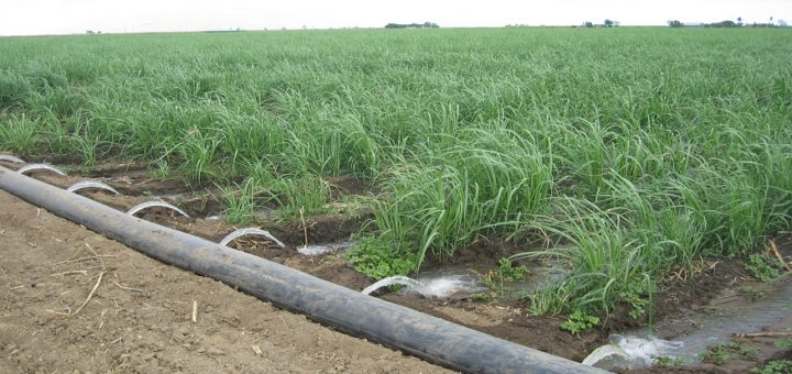 Most common irrigation methods