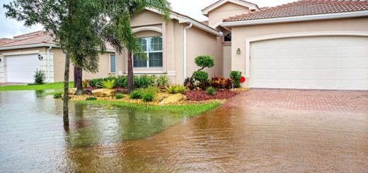 Is Your Home’s Roof Leaking After Rainfall?