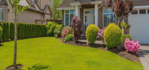 How to Select the Right Contractor for Residential Landscaping Services