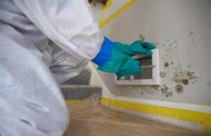 The Benefits Of Mold Removal And Remediation