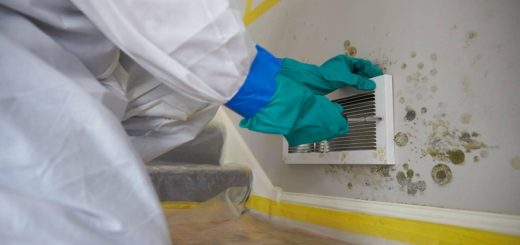 The Benefits Of Mold Removal And Remediation