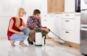 Why Hires a Pest Control Company in Melbourne