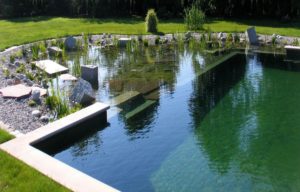 natural pool treatment