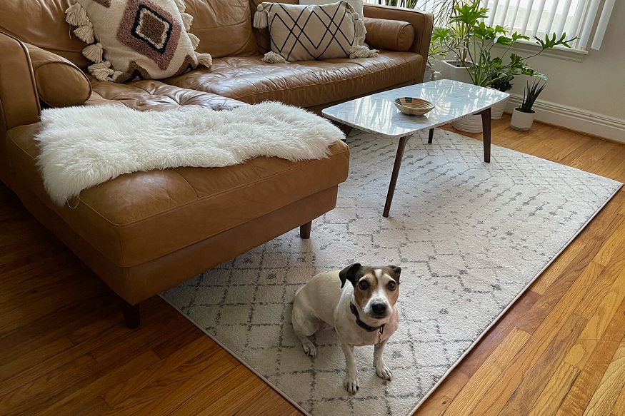 The Moroccan Berber Rug